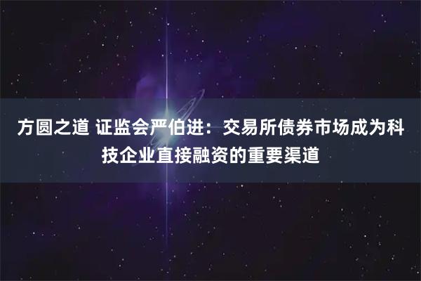 方圆之道 证监会严伯进：交易所债券市场成为科技企业直接融资的重要渠道