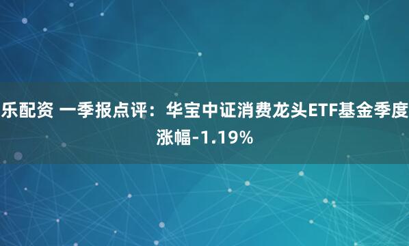 乐配资 一季报点评：华宝中证消费龙头ETF基金季度涨幅-1.19%