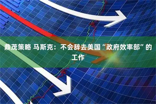 鼎茂策略 马斯克：不会辞去美国“政府效率部”的工作