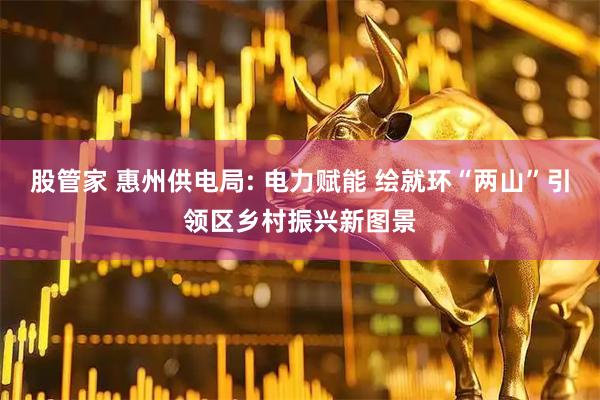 股管家 惠州供电局: 电力赋能 绘就环“两山”引领区乡村振兴新图景