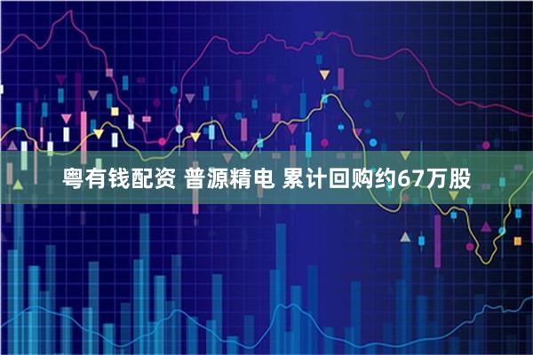 粤有钱配资 普源精电 累计回购约67万股